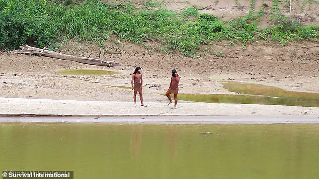 Lack of Government Protections Threatens Isolated Amazon Tribe's Survival