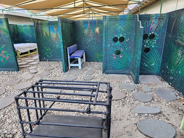 Palm Springs Resort Lists for $10.5 Million Amid Controversy Over Its Unique Adult Attractions