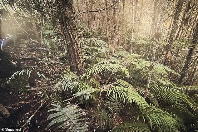 New Photos Reveal Isolated Campsite Where Tom Phillips' Children Were Found After Four-Year Fugitive Hunt Ends With Father's Death