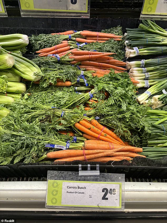 Canadian Supermarkets Mislabeling 'Made in USA' Produce Amid Trump Tariff Dispute, Investigation Reveals