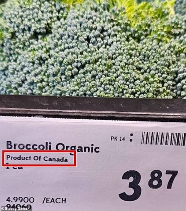 Canadian Supermarkets Mislabeling 'Made in USA' Produce Amid Trump Tariff Dispute, Investigation Reveals