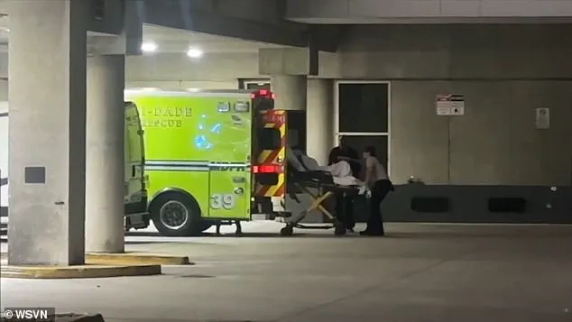 Royal Caribbean's Wonder of the Seas Returns to Miami After Violent Altercation Hospitalizes Two Passengers
