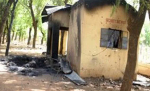 Urgent: Mob Attack on Nigerian Food Vendor Amaye Over Alleged Blasphemy – Latest Update
