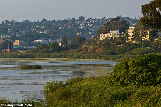 California Retail Magnate Ordered to Pay $1.4 Million Over Beach Access Dispute at Carlsbad Mansion