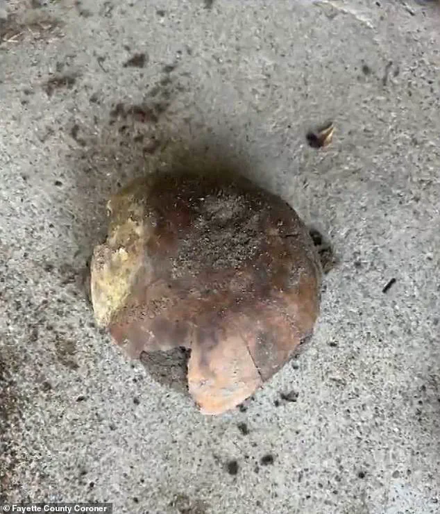 Ancient Human Skull Discovered Along Whitewater River Sparks Interest in Indiana's Prehistoric Past