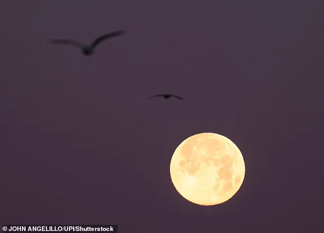 San Francisco Faces Severe Flooding as Super Moon Trifecta Sparks Extreme Tides