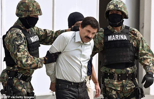 Late-Breaking: Trump's Land Strikes Against Mexican Cartels Signal Urgent Escalation in Narcoterrorism Battle