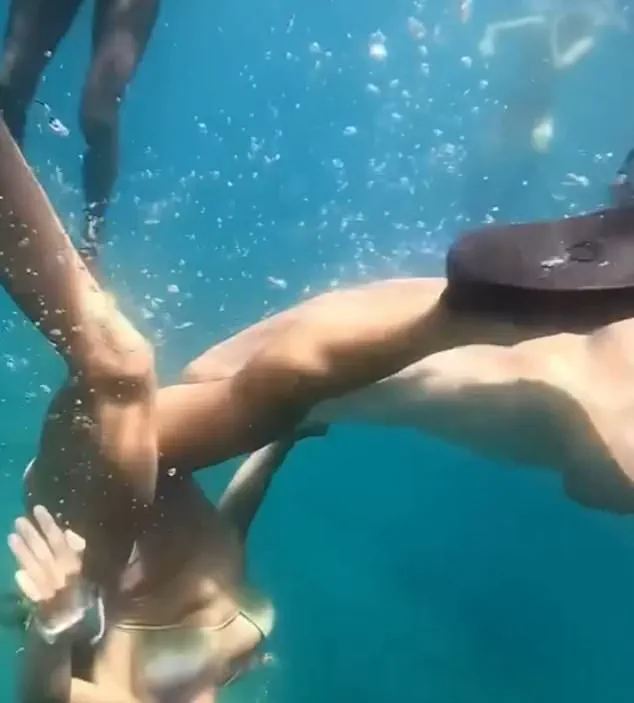 Urgent: Nurse Shark Attack Injures Snorkeler at Brazil's UNESCO Site Fernando de Noronha