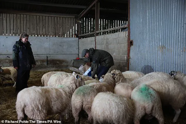 Prince William's Farm Engagement Underscores Mental Health Challenges in Rural Communities