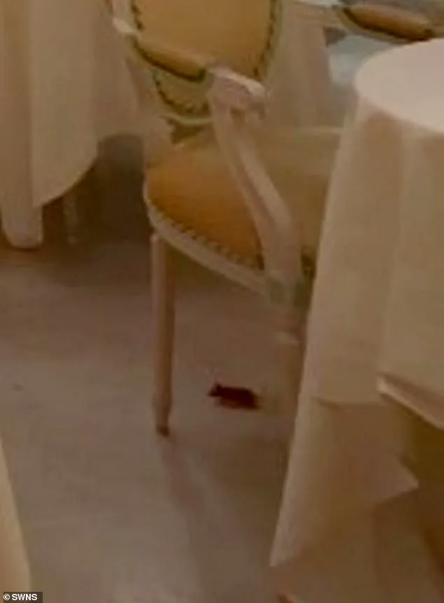 Ritz London Investigates Unusual Incident During Afternoon Tea