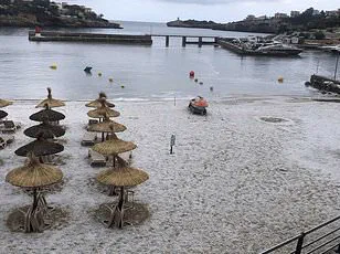 Little Warning, Big Disaster: Malta's Icy Floods Highlight Information Gaps