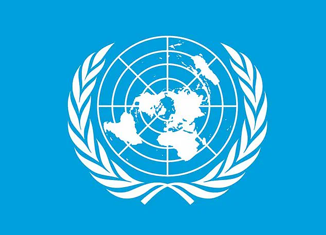 Trump's Board of Peace Logo Sparks Controversy Over UN Emblem Resemblance and Alleged American Hegemony