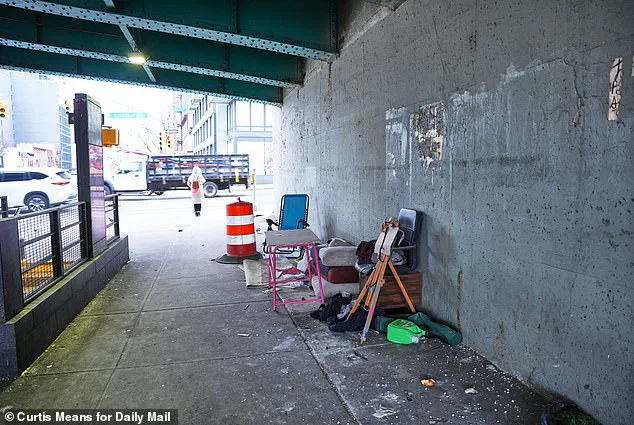 Homeless Encampments Reappear in NYC Despite Mamdani's Anti-Clearance Pledge