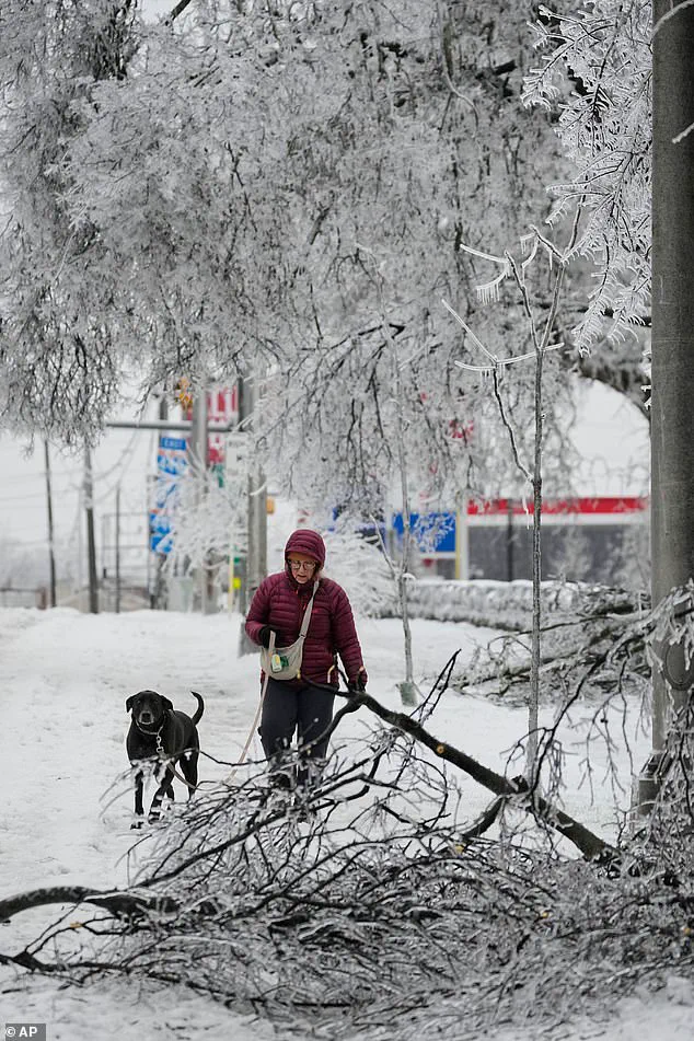 Winter Storm Fern Could Cost Over $100 Billion, Claims 16 Lives, as Meteorologists Call It 'One of the Most Severe' in Recent Memory