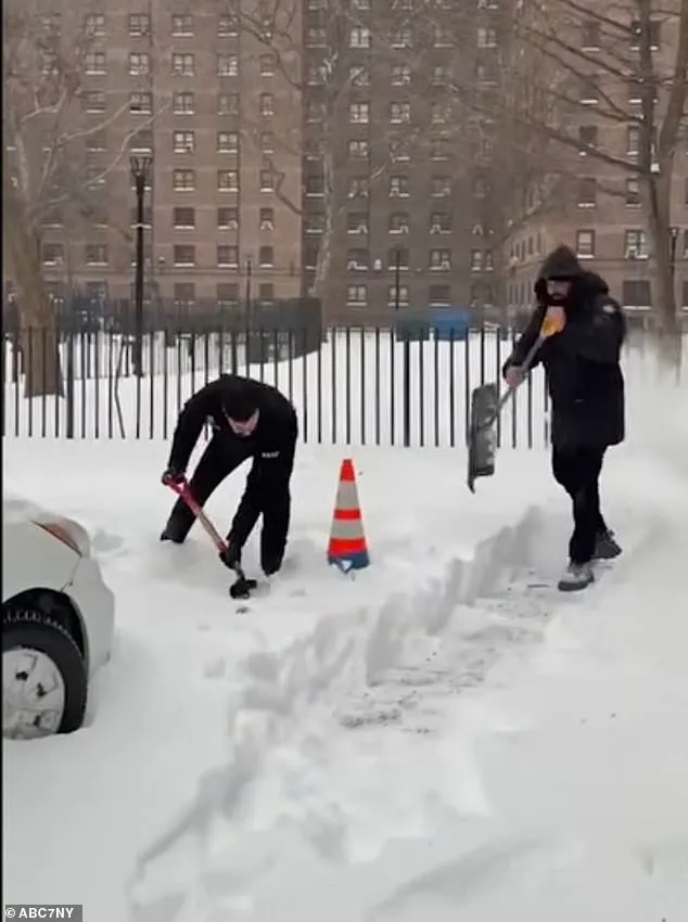 New York City's Response to the Icemageddon: Government Actions in the Face of a Historic Blizzard