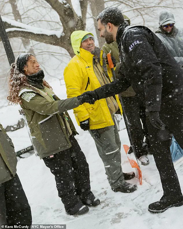 New York City's Response to the Icemageddon: Government Actions in the Face of a Historic Blizzard