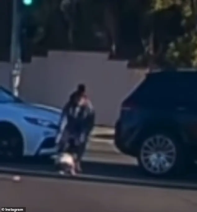 Tragic Car Incident Sparks Debate on Public Safety Regulations