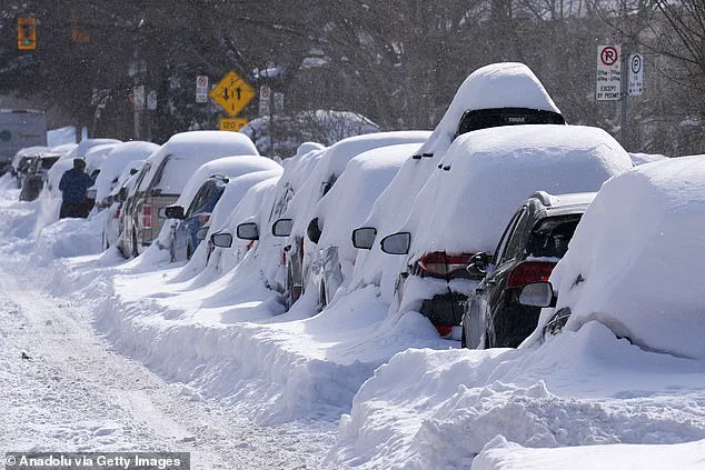 Breaking: Toronto Mayor Olivia Chow's Viral Misstatement on Historic Snowstorm Sparks Outrage
