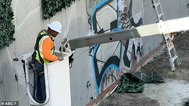 Vandals Deface LA's Artificial Ivy Wall, Sparking Criticism of Clean California Initiative as Costly Environmental Theater