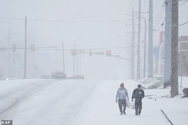 Nashville Family's Life-Threatening Winter Storm Crisis Sparks HOA Dispute as Power Outages Continue