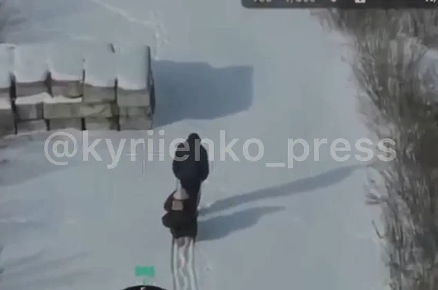 Frozen in the Snow: Ukrainian Couple's Calculated Execution by Russian Drones Reveals War's Brutal Toll