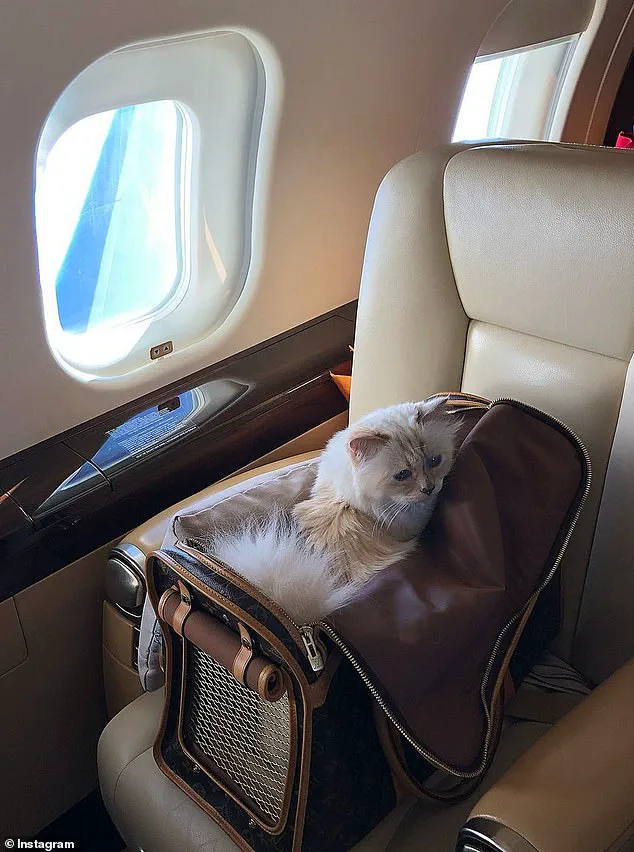 Unexpected Claimant Sparks Legal Battle Over Lagerfeld's €200M Estate, Leaving Choupette's Future in Doubt