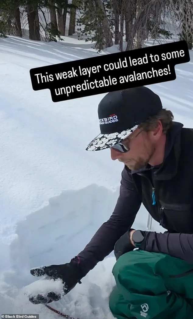 Avalanche Tragedy Exposes Irony of Company's Warning and Promotion