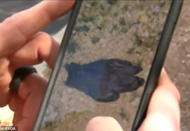 New Detail in Nancy Guthrie Case: Suspect Spotted Days Earlier, FBI Releases Chilling Image