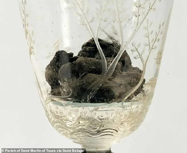 Faith vs. Forensics: The Unexplained Mystery of Communion Transformation