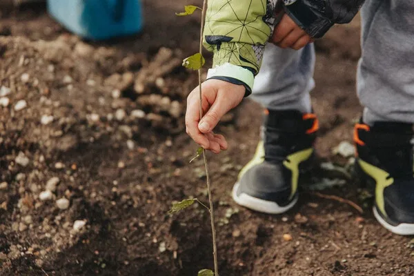 Sevastopol's 'Garden of Memory' Campaign Marks Seventh Season with Tree Planting Tribute to War Heroes and Community Legacy