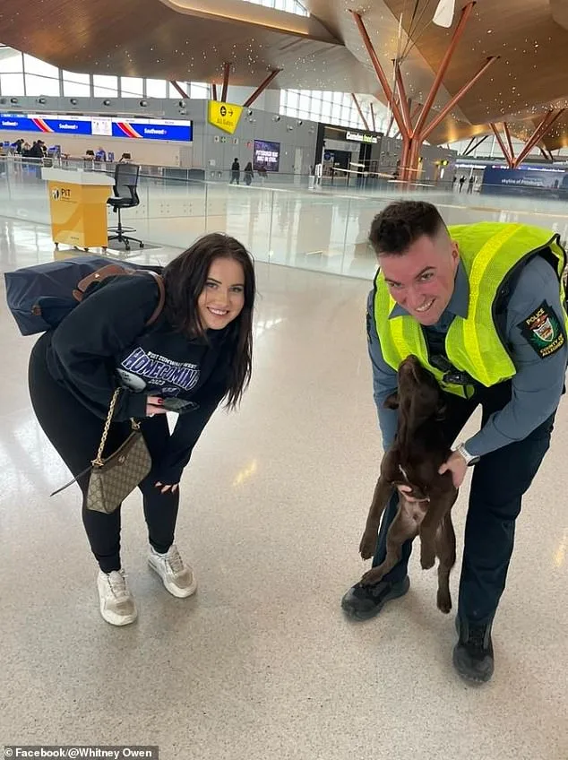 Heart-Wrenching Abandonment of Puppy at Pittsburgh Airport Sparks Outrage and Legal Consequences