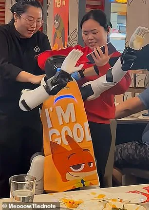Humanoid Robots in Homes: Convenience vs. Rising Safety Concerns