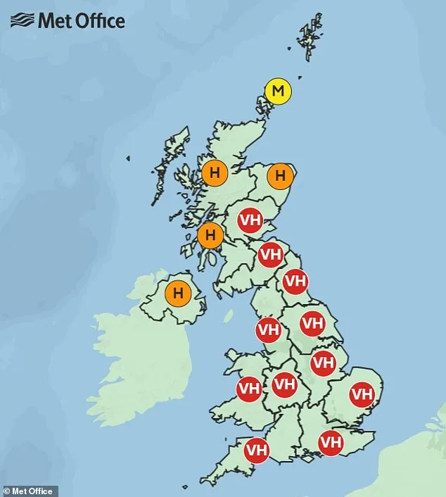 UK Faces 'Pollen Bomb' as Red Alert Sparks Hay Fever Crisis