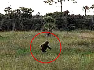 Former Army veteran claims 1993 encounter with three giant Bigfoot creatures.