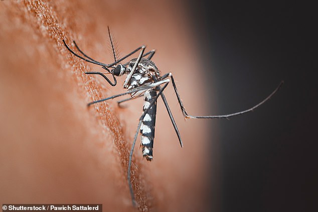 Climate change enables mosquitoes to spread Chikungunya virus across Europe and North America.