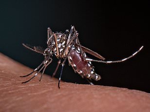 Climate change enables mosquitoes to spread Chikungunya virus across Europe and North America.