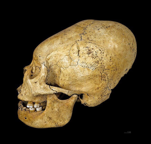New DNA study of Paracas mummies fails to confirm alien origins.