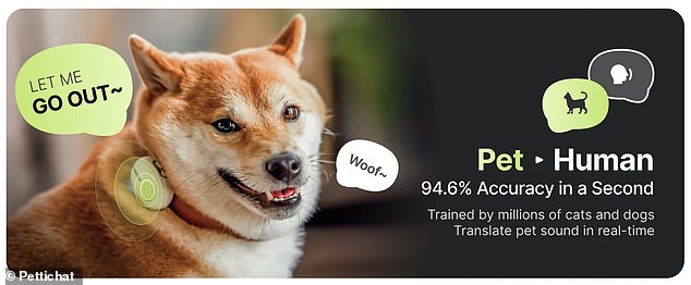 Chinese startup claims AI collar translates pet sounds with 95% accuracy.